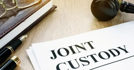 Joint Custody