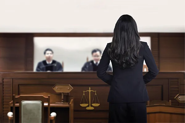 Lawyer talking to judge