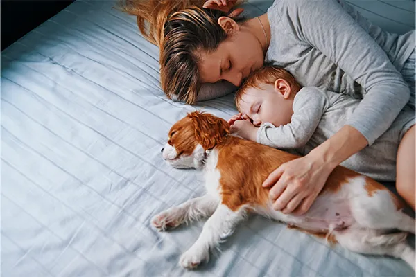 Mother sleeping with baby and puppy