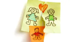 Divorce graphic