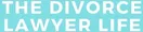 The Divorce Lawyer Life