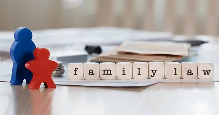 Family law graphic