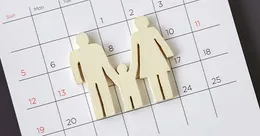 Custody calendar