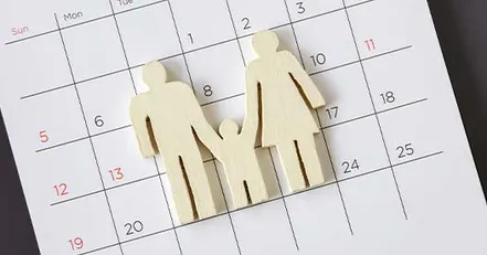 Custody calendar