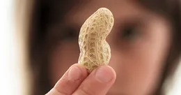 Child holding a peanut