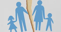Split household graphic