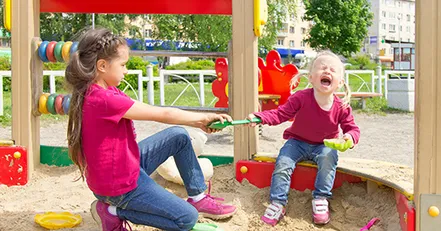 Siblings fighting over toys