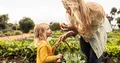How to Teach Your Kids to be Independent